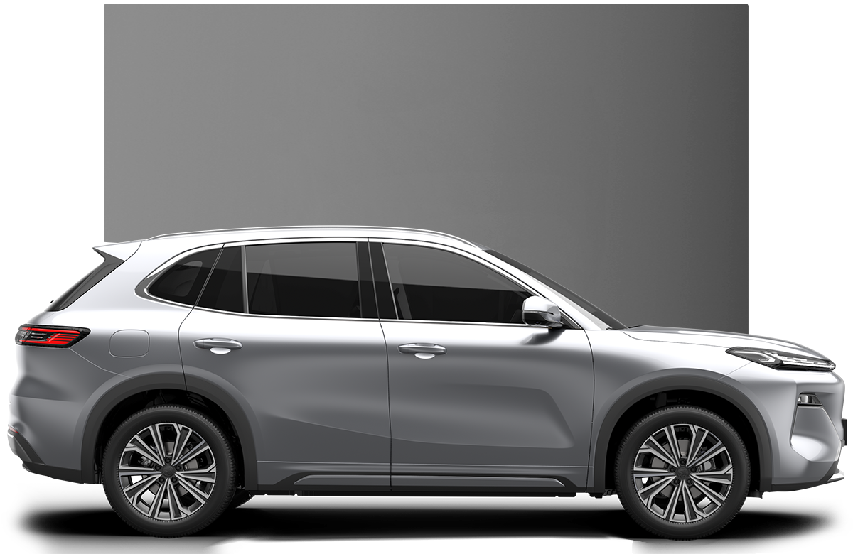 Premium Plus - Galena Grey 1