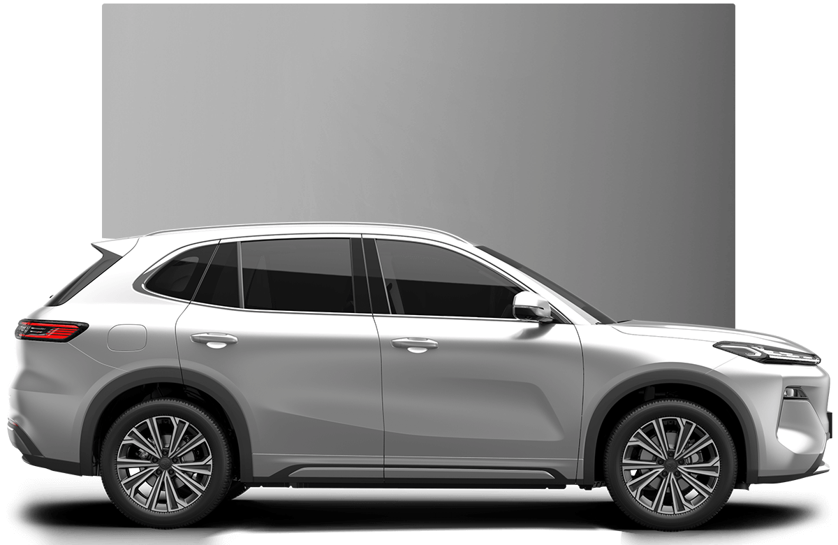 Premium Plus - Mercury Silver